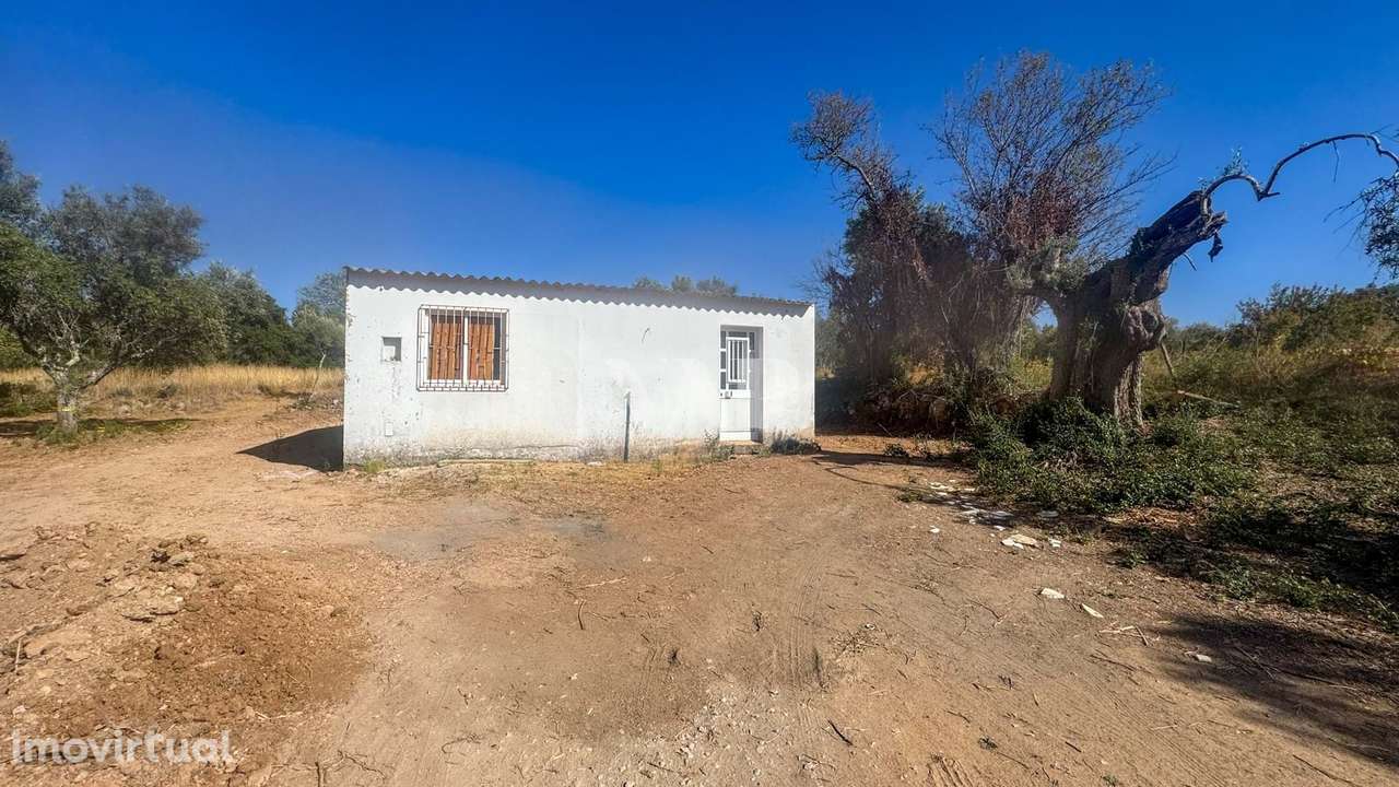 Lote de Terreno Rústico, Querença - Grande imagem: 2/6