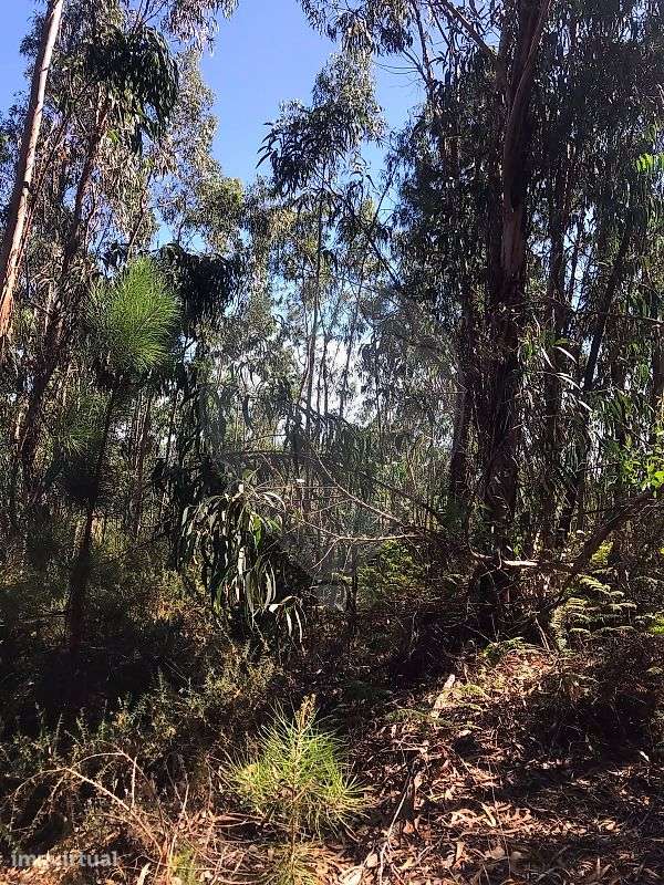 Terreno  para venda - Grande imagem: 3/8