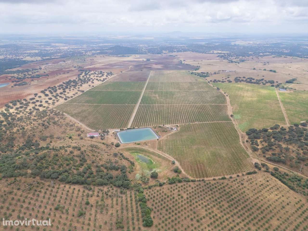 Terreno Misto 96.5 ha, Ciladas, Vila Viçosa - Grande imagem: 3/24