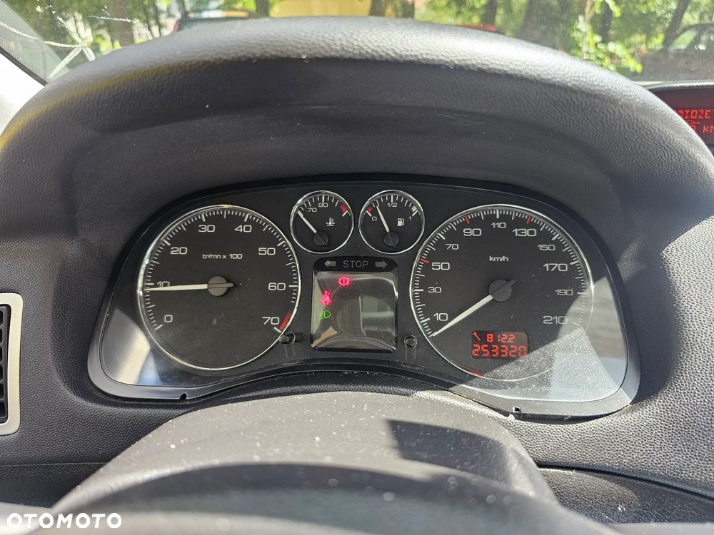 Peugeot 307 1.6 Oxygo - 7