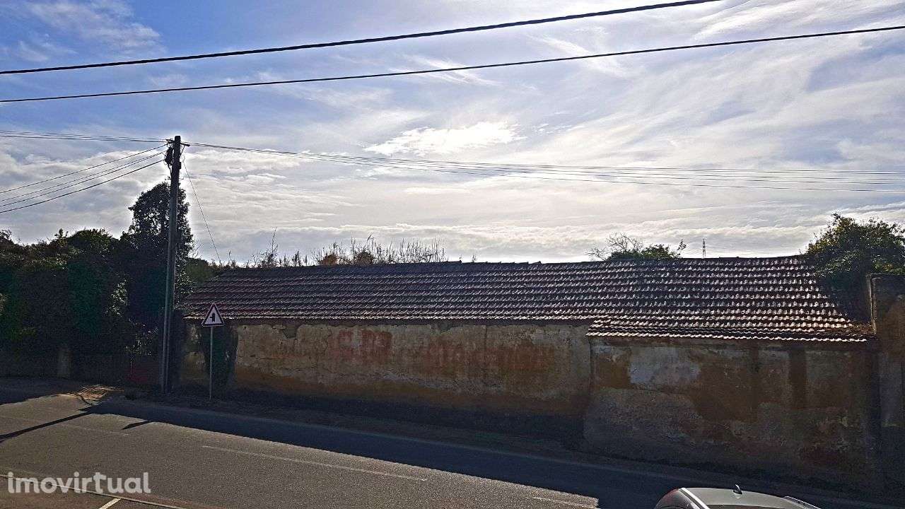 Quinta na Bairrada - Grande imagem: 3/22