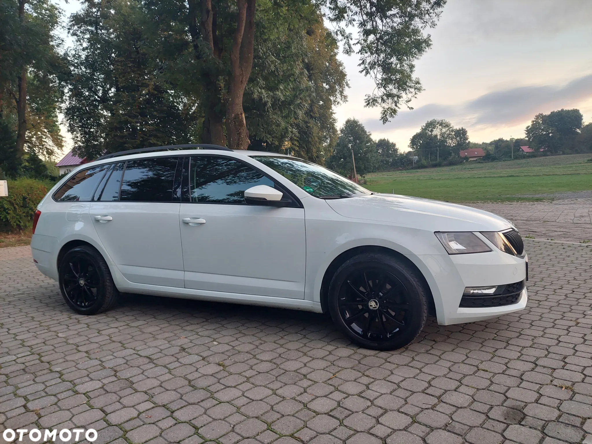 Skoda Octavia 1.6 TDI Ambition - 8