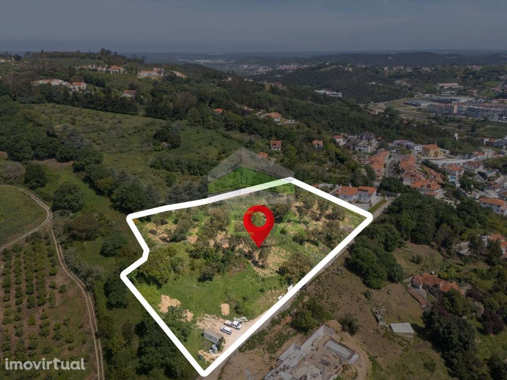 Terreno com 11.000m2 e excelentes vistas sobre Alcobaça - Grande imagem: 4/34