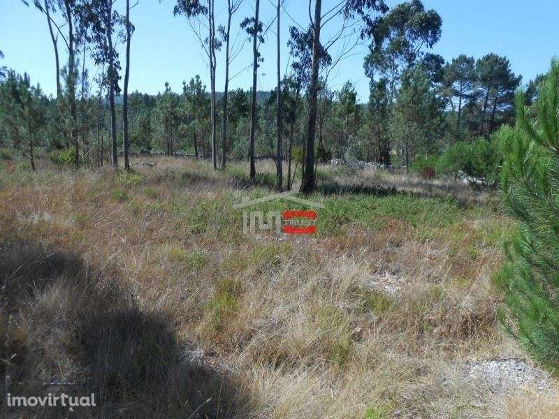 Terreno para Construção - Grande imagem: 3/12