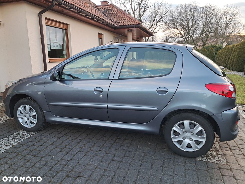 Peugeot 206 plus 60 - 12