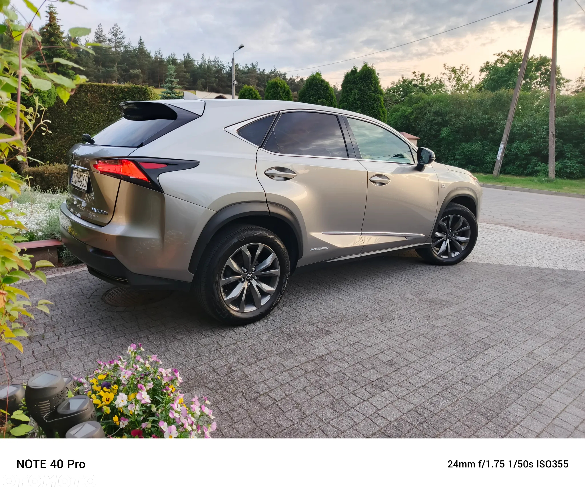 Lexus NX 300h F Sport AWD - 7