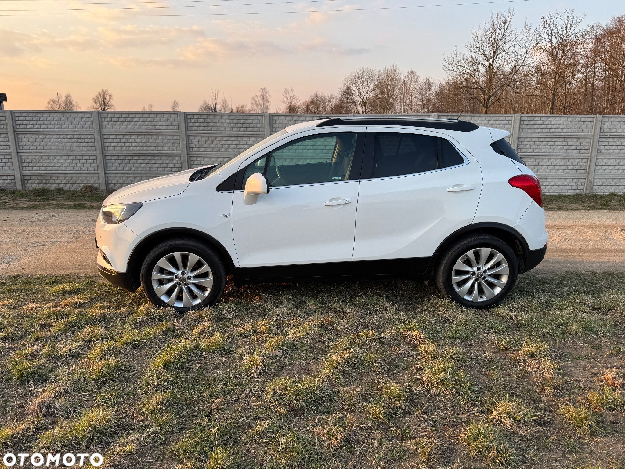 Opel Mokka 1.6 CDTI Cosmo S&S - 11