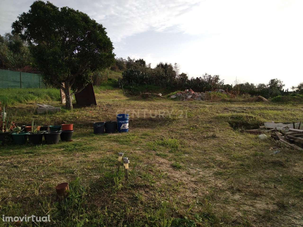 Moradia em Reconstrução – Carregueira, Chamusca - Grande imagem: 5/10