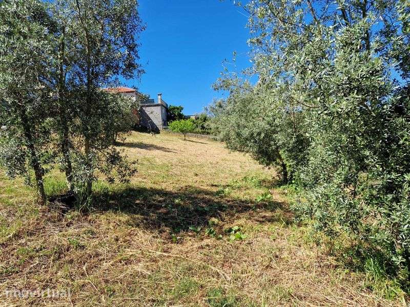 Terreno (2 lotes 500 m² cada) na Barragem da Aguieira a 50 m da água - Grande imagem: 4/5