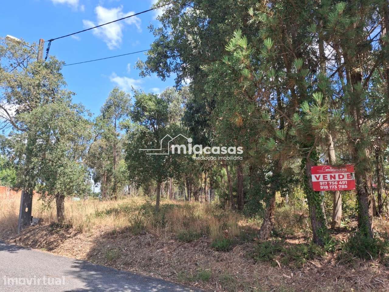 TERRENO PARA CONSTRUÇÃO ESPAIRO - ANADIA - Grande imagem: 2/3