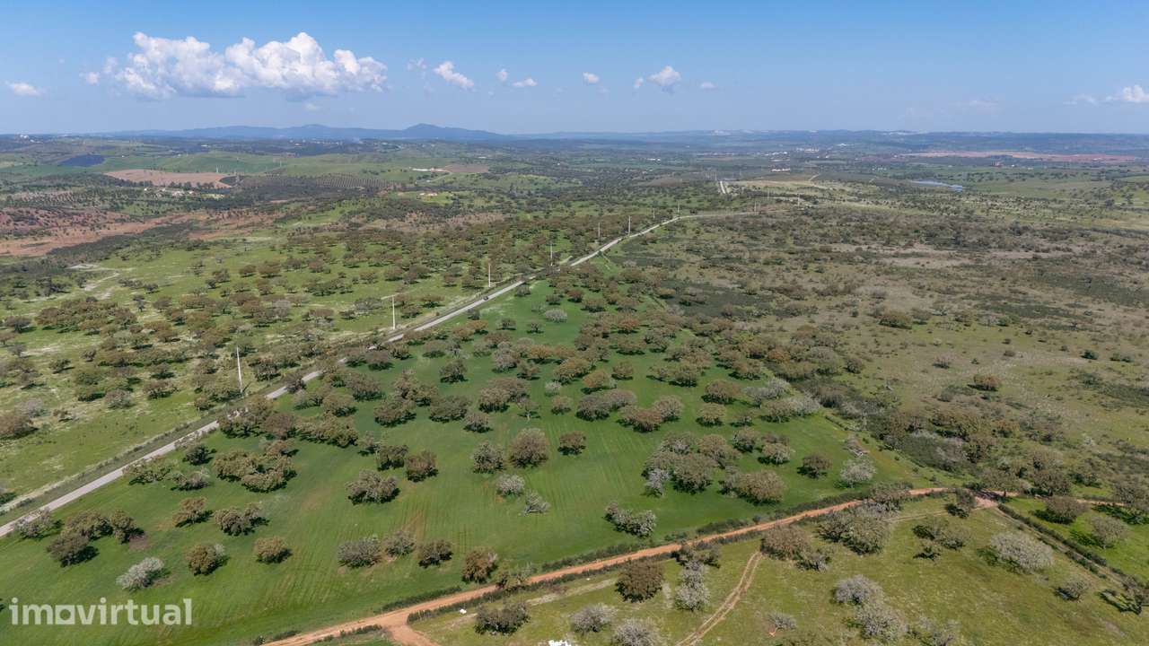 Herdade da Chamurreira de Baixo – Ativo Rural Estratégico com 63 Hecta - Grande imagem: 2/11