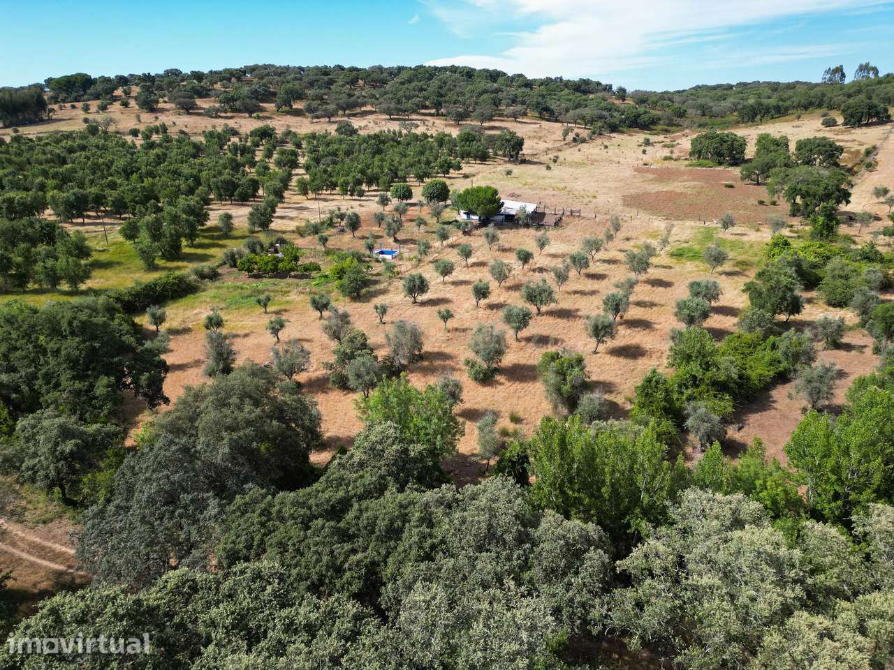 Quinta Charmosa em Montemor o Novo - Oportunidade Única - Grande imagem: 5/16