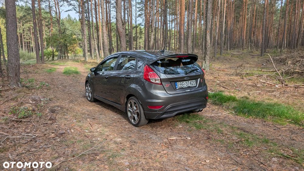 Ford Fiesta 1.6 EcoBoost ST200 - 18