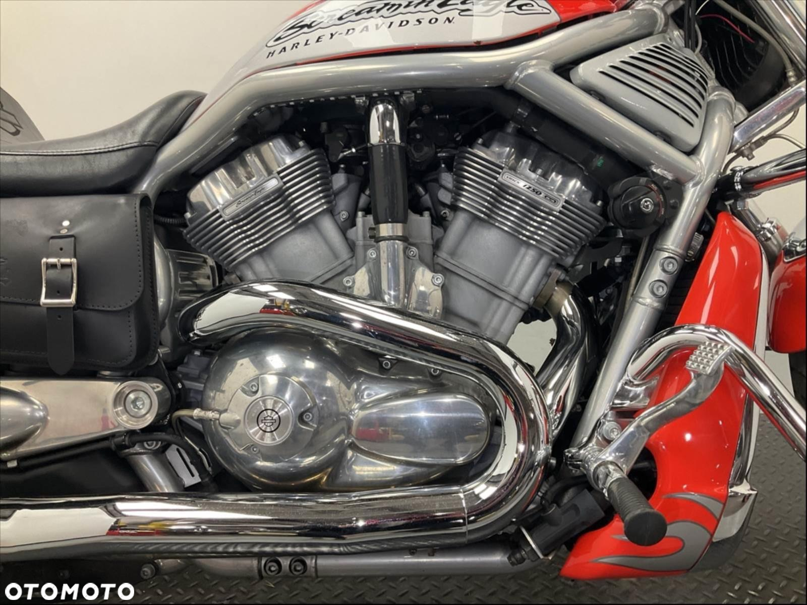 Harley-Davidson Softail V-Rod - 7