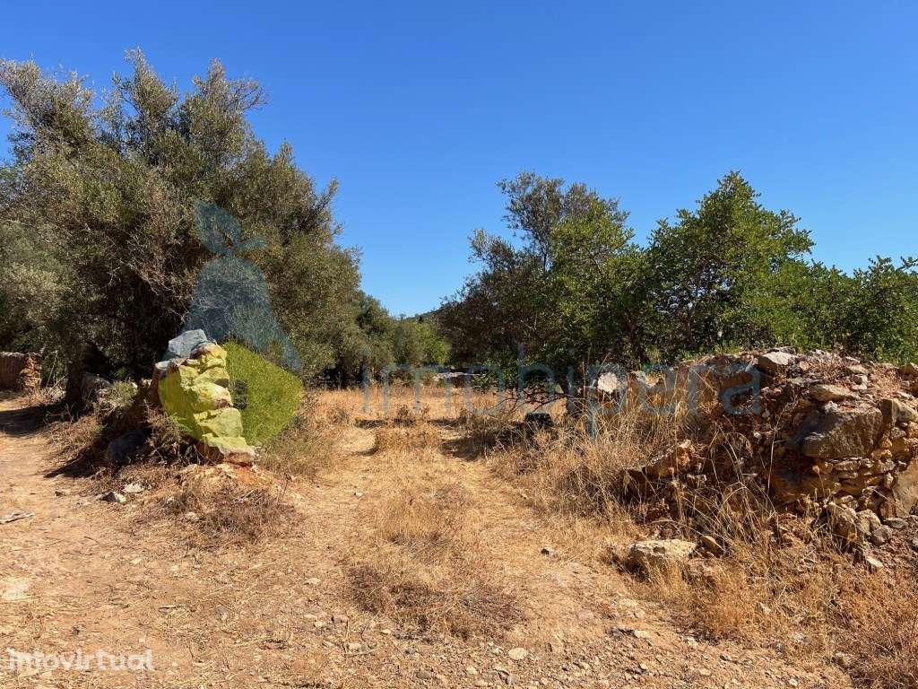 TERRENO MISTO COM RUÍNA E POÇO JUNTO À RIBEIRA DE PADERNE - Grande imagem: 4/26