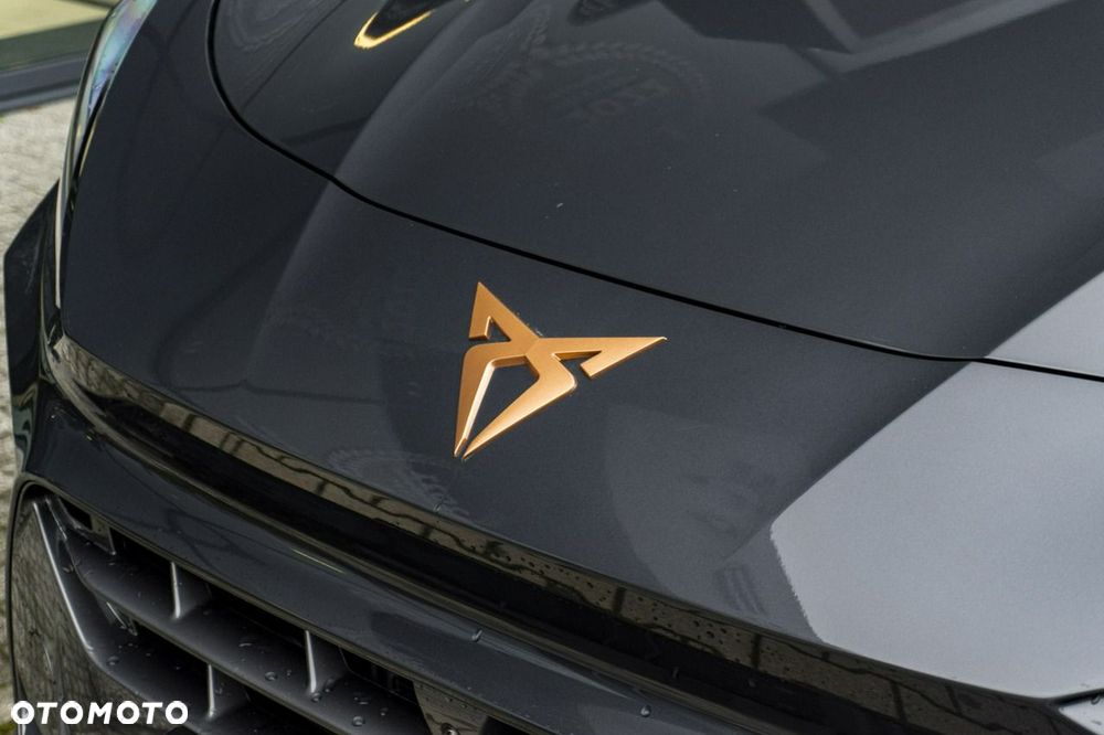 Cupra Terramar - 7