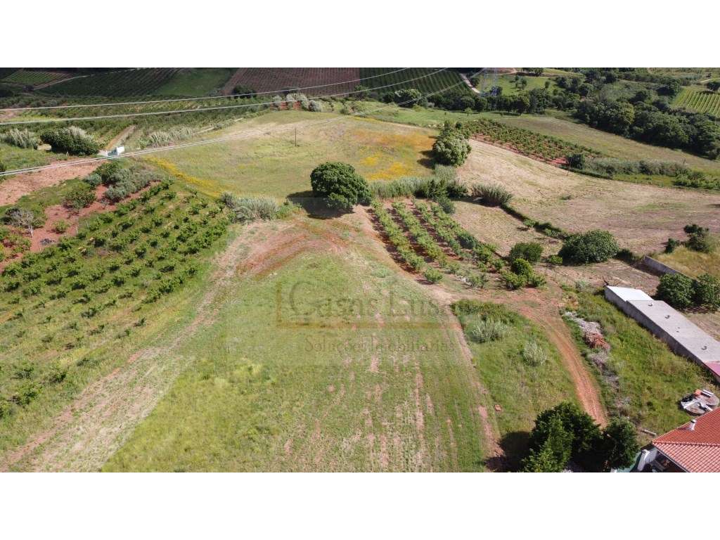 **Terreno Urbano com 4760m² - Excelente Potencial para Moradia ou Q... - Grande imagem: 5/5