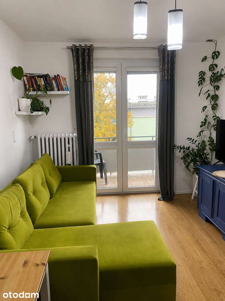 2 pokoje | Centrum miasta | Garaż i piwnica