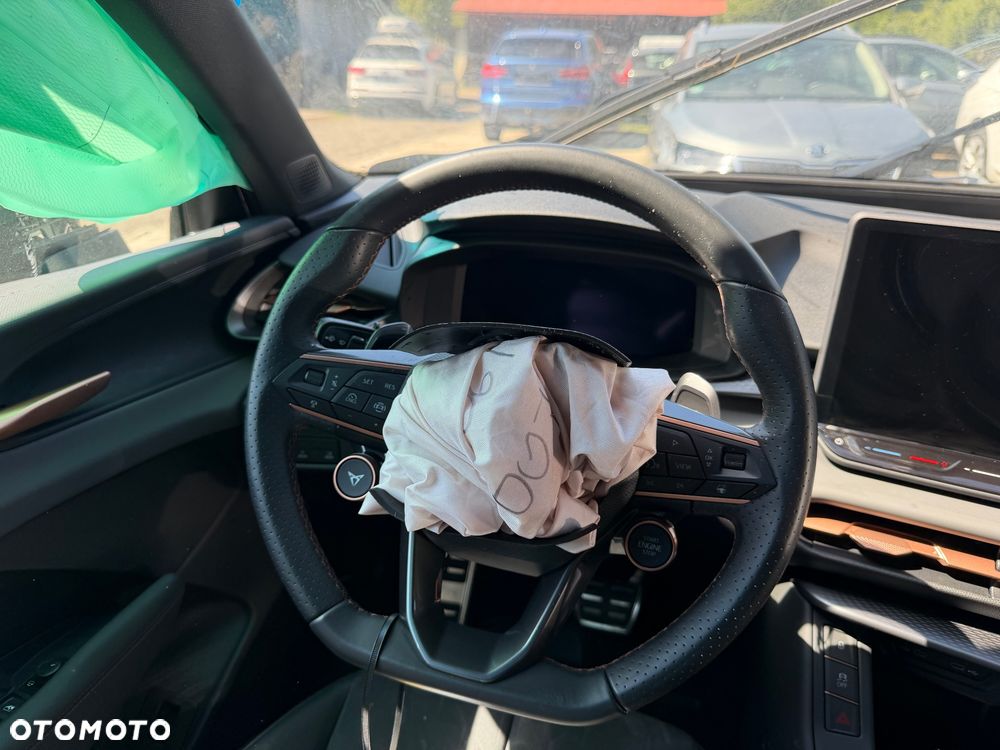 Cupra Terramar 1.5 eTSI mHEV Advantage Edition DCC DSG - 22