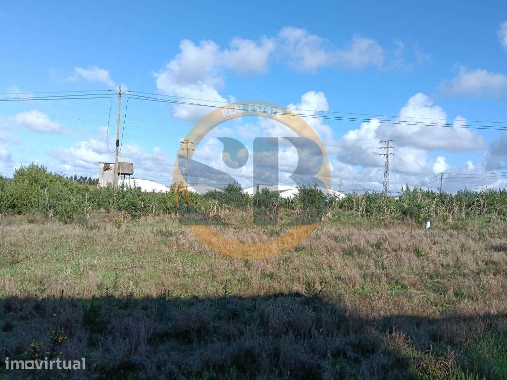 Terreno Construção Venda Ovar - Grande imagem: 2/9