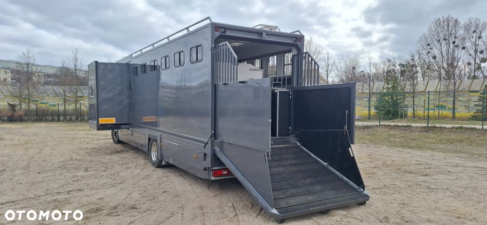 Scania Koniowóz 7-koni + living - 6