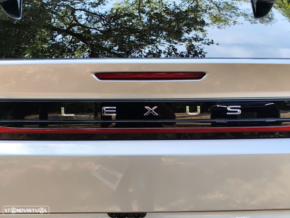 Lexus RZ 300e Luxury - 20
