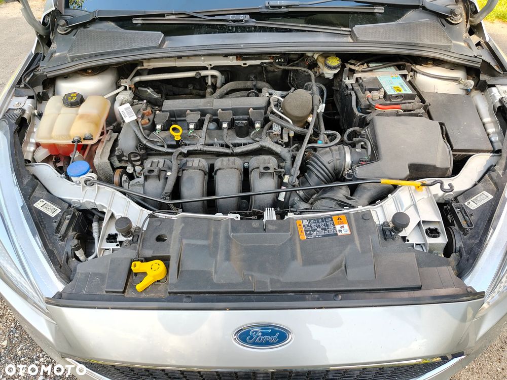 Ford Focus - 12