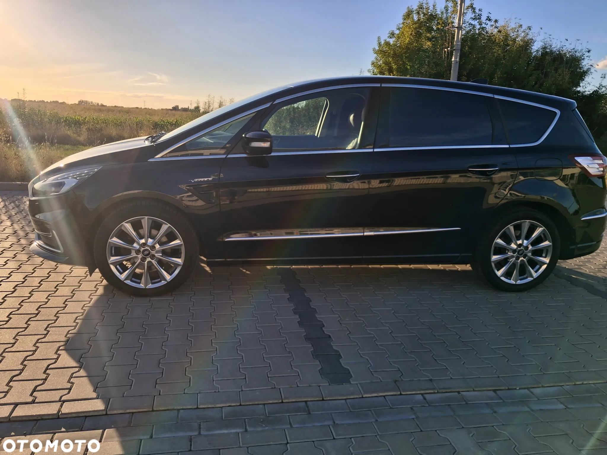 Ford S-Max 2.0 EcoBlue Vignale - 6