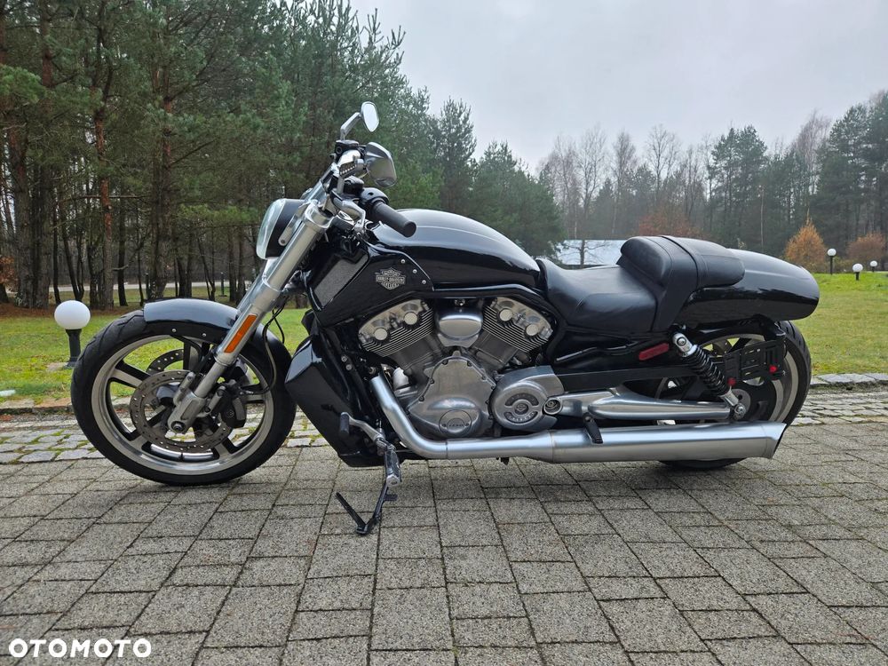Harley-Davidson V-Rod Muscle - 14
