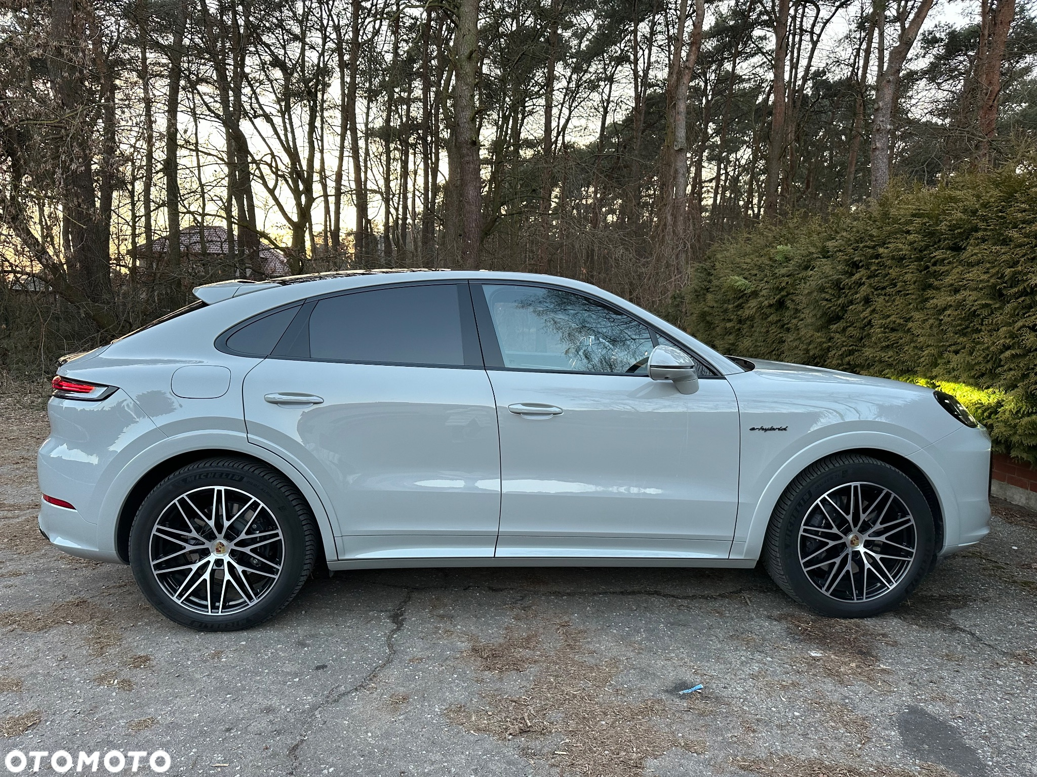 Porsche Cayenne Coupe - 13