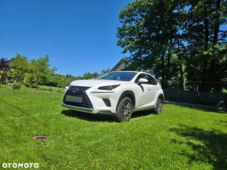 Lexus NX 300 Business Edition AWD - 4