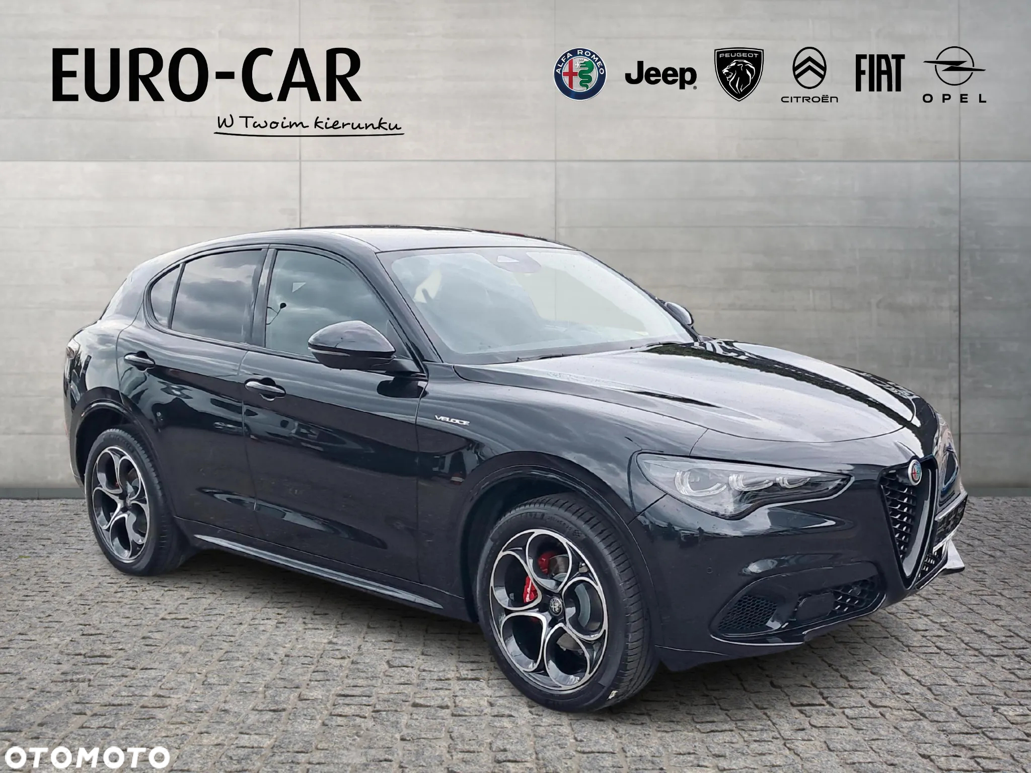 Alfa Romeo Stelvio 2.0 Turbo Veloce Q4 - 7