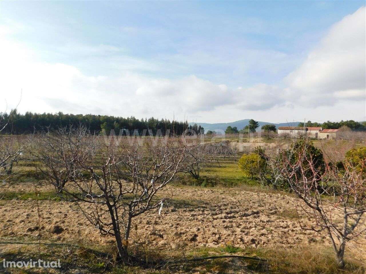 Quinta / Fundão, Catrão - Grande imagem: 3/4