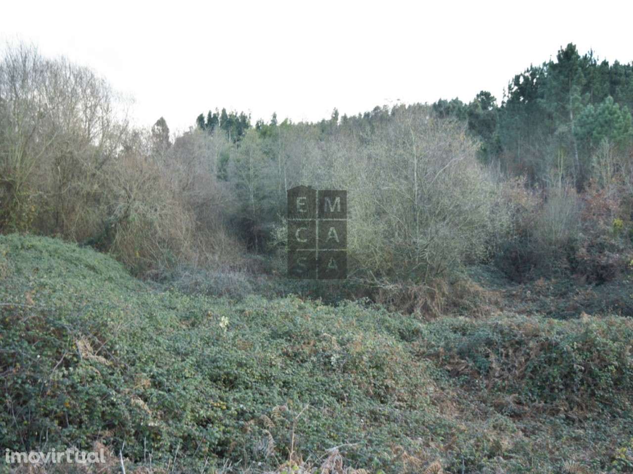 Terreno Rústico  Venda em São Miguel do Souto e Mosteirô,Santa Maria d - Grande imagem: 2/2