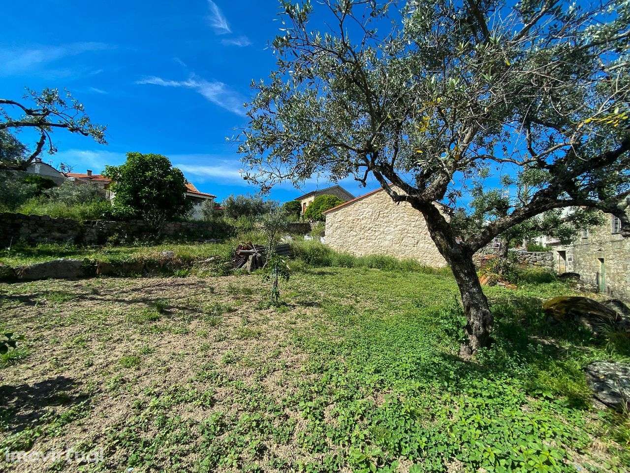 Terreno - Grande imagem: 3/7