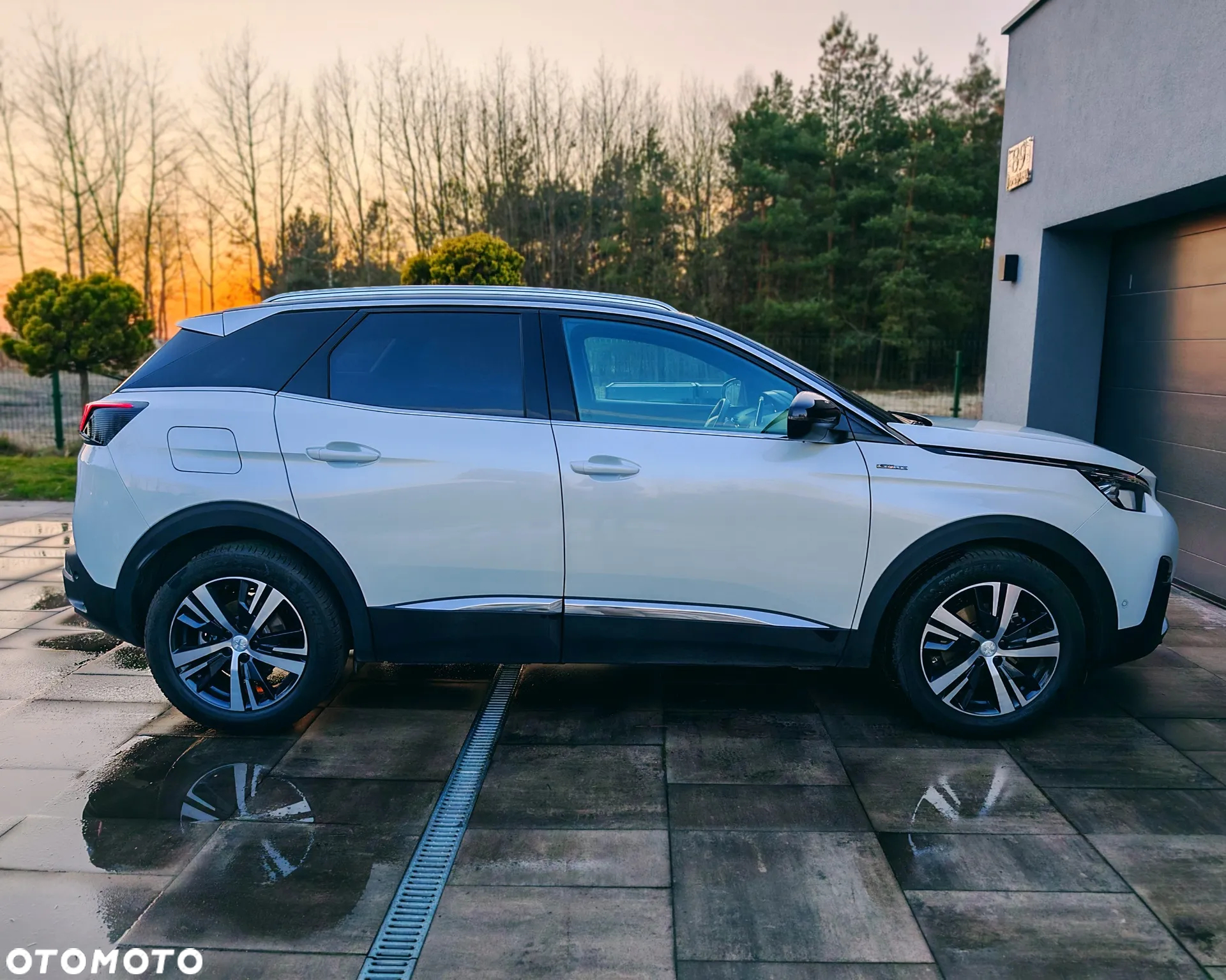Peugeot 3008 - 13