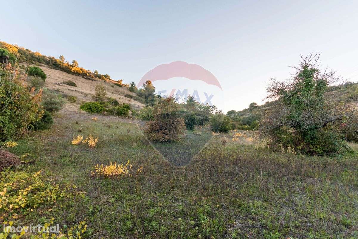 Terreno  para venda - Grande imagem: 3/9