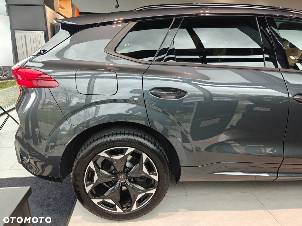 Cupra Terramar - 9