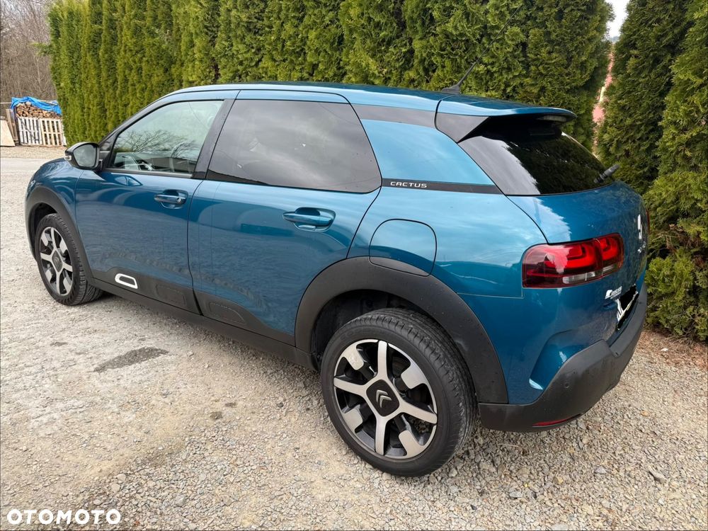 Citroën C4 Cactus PureTech 110 Stop&Start Origins - 15