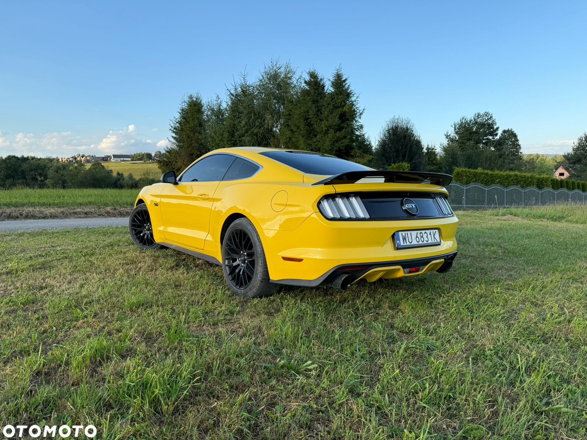 Ford Mustang 5.0 V8 GT - 15