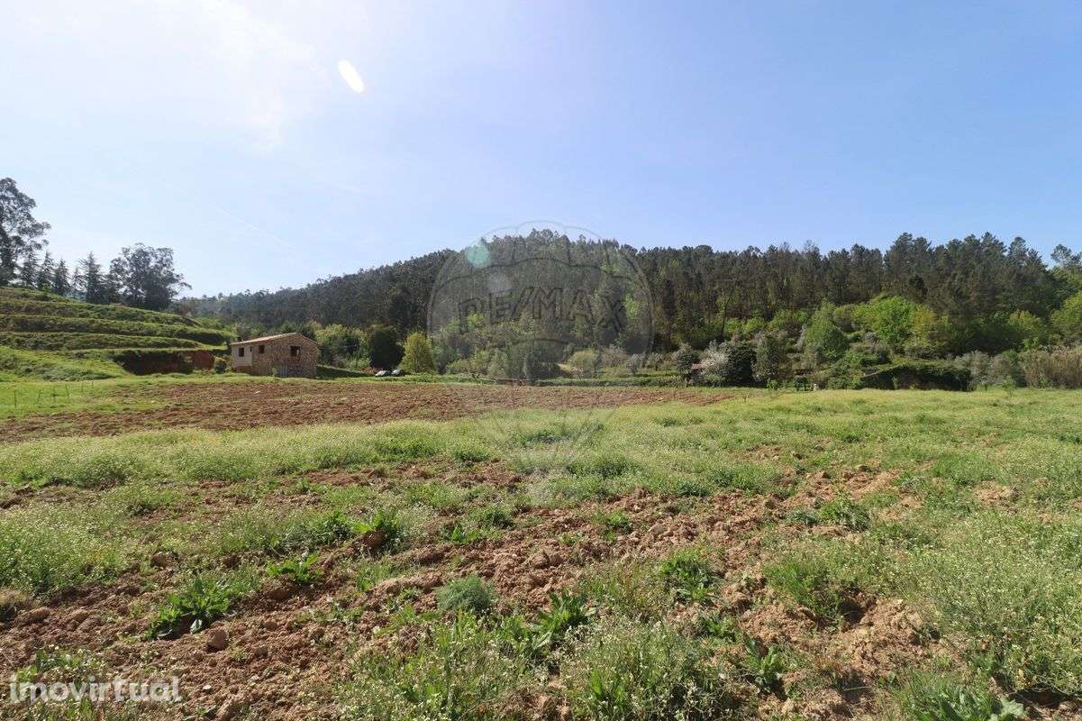 Quinta T2 para venda - Grande imagem: 3/26