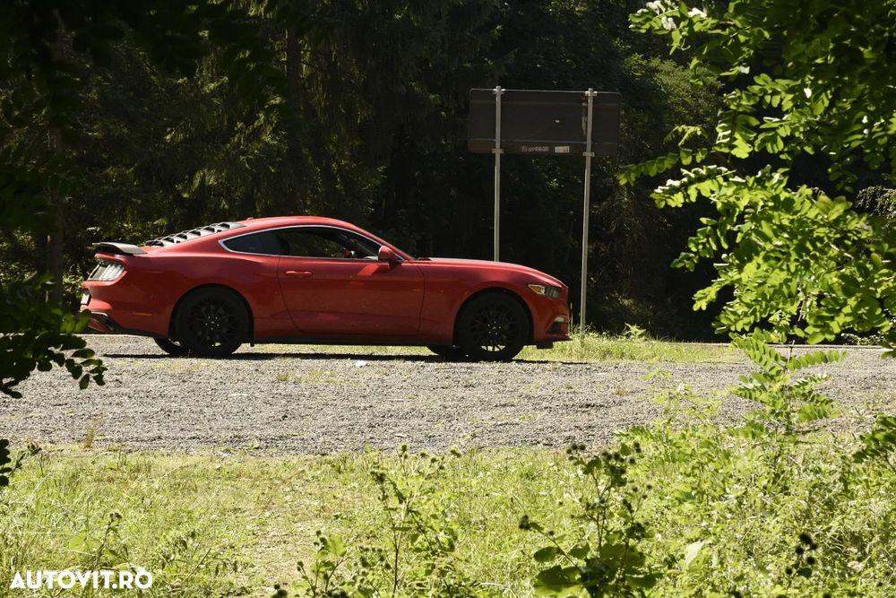 Ford Mustang - 6