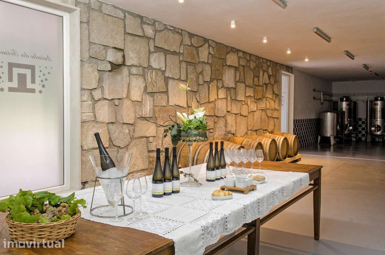 Quinta com Casa em Monção, Região Demarcada dos Vinhos Verdes, Agrotur - Grande imagem: 5/25
