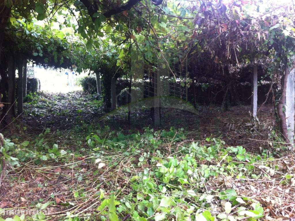 Terreno para venda em Azevedo. - Grande imagem: 4/7