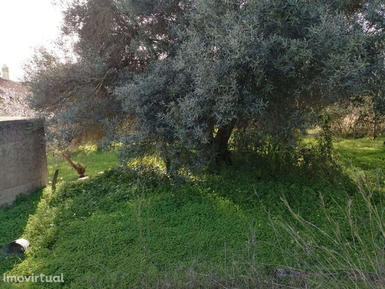 Terreno para construcao de imovel habitacional- Calçada- S.B. Alportel - Grande imagem: 2/11