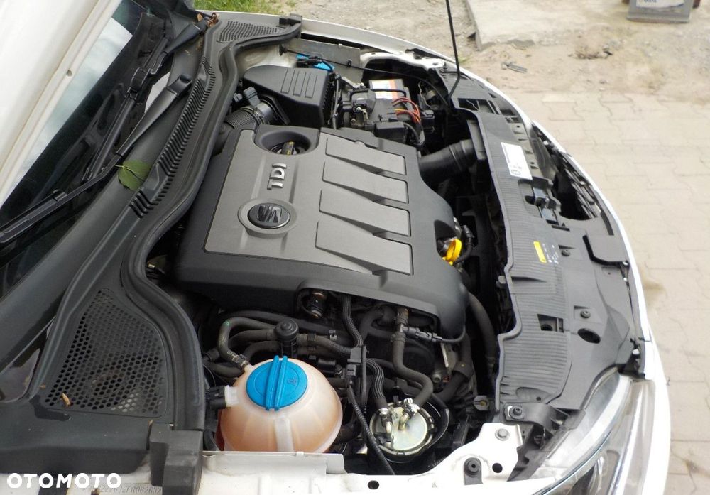 Seat Ibiza - 7