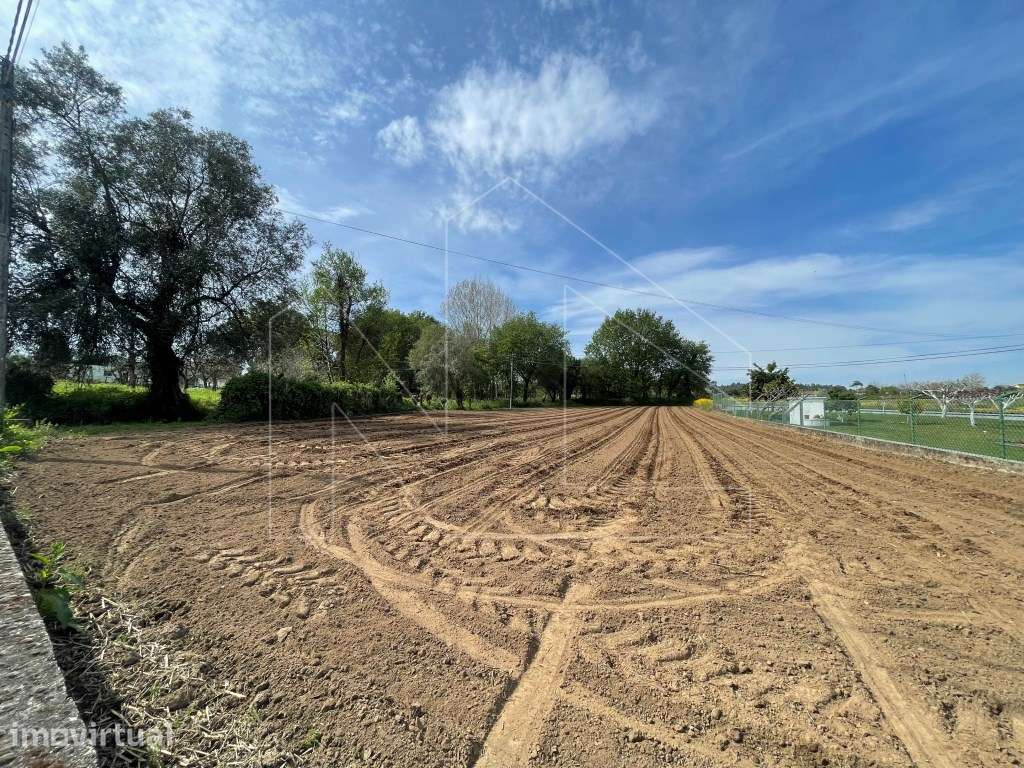 Terreno - Albergaria-a-Velha - Grande imagem: 3/5