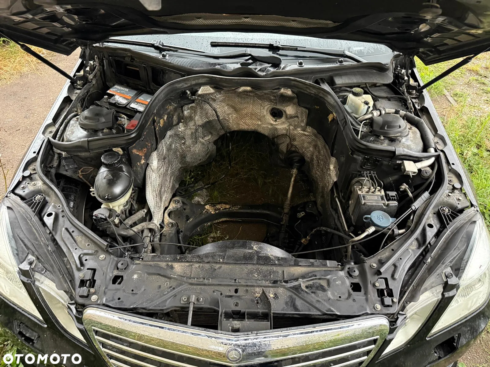 Mercedes-Benz Klasa E 350 CDI 4-Matic BlueEff Avantgarde - 5