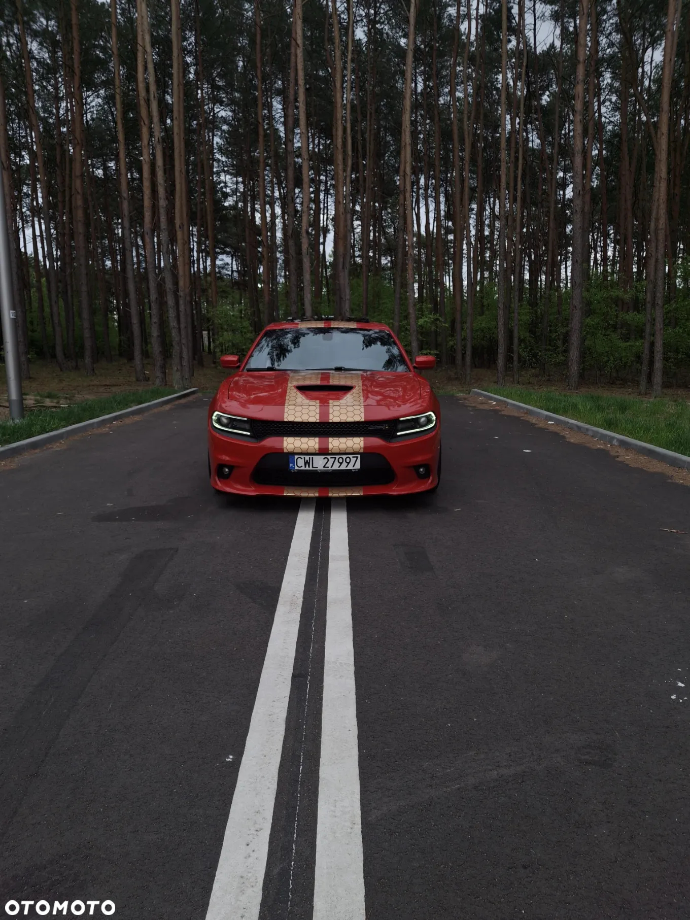 Dodge Charger - 3