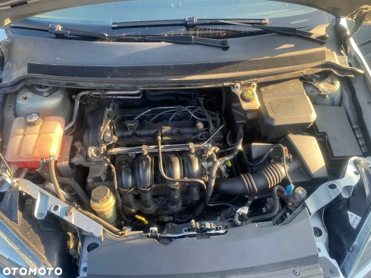 Ford Focus - 9